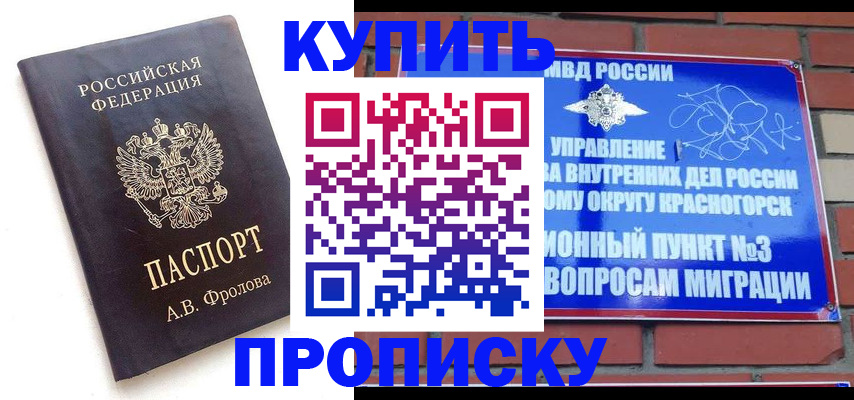 прописка поиск в Светогорске